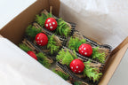 Mushroom Napkin Ring, Mushroom Napkin Holder, Christmas Table Decor, Mushroom Table Deco, Artificial Mushroom Napkin Ring, Housewarming Gift